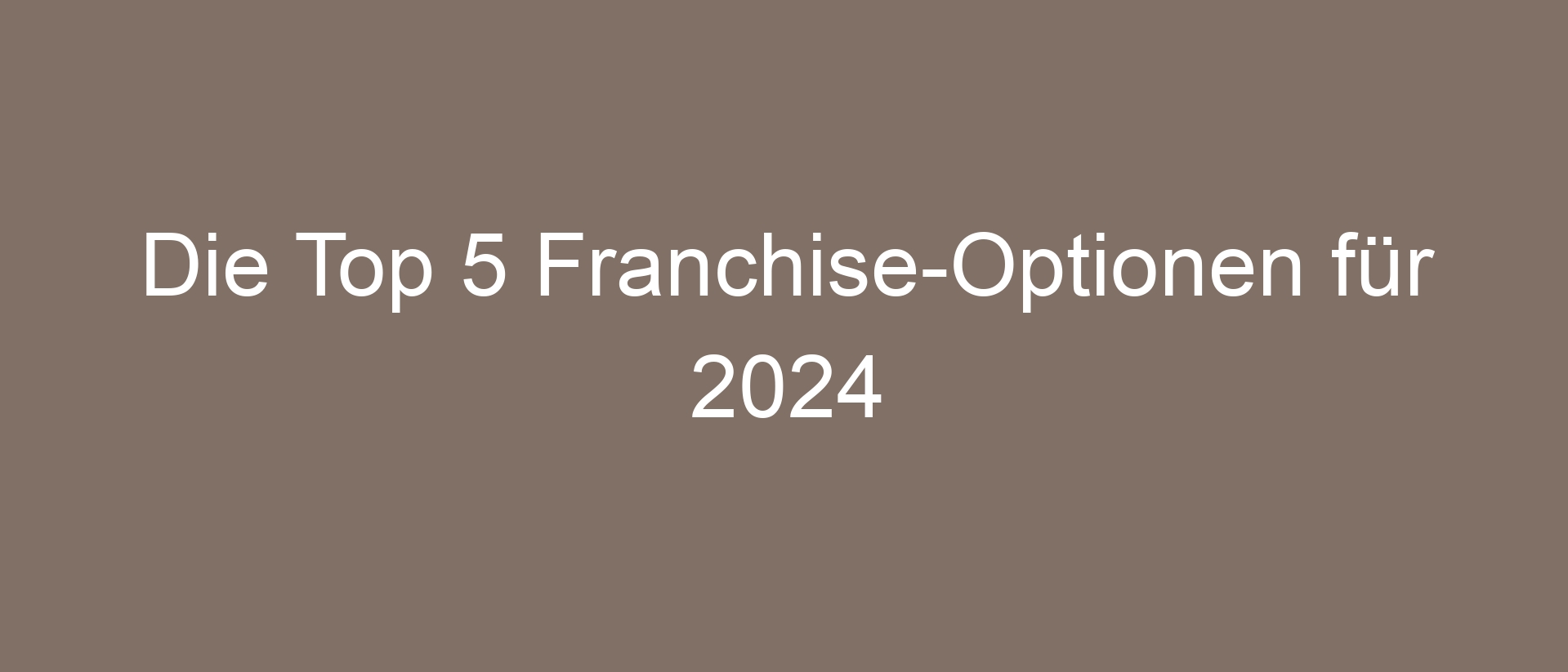 Die Top 5 Franchise-Optionen für 2024